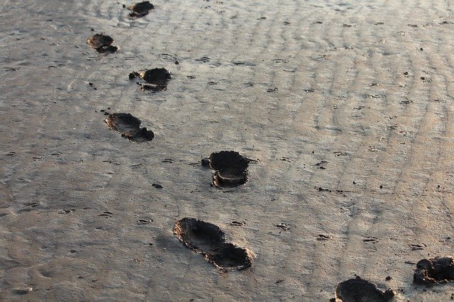 Footprints in the sand