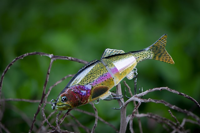 a fish-shaped lure on some twigs